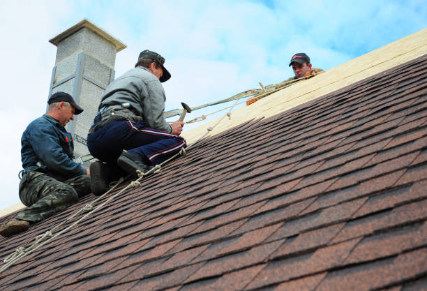 Best Roof Gutter Cleaning  in Central Heights Midland City, AZ